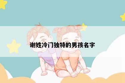 谢姓冷门独特的男孩名字